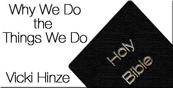 WHY WE DO THE THINGS WE DO BY VICKI HINZE
