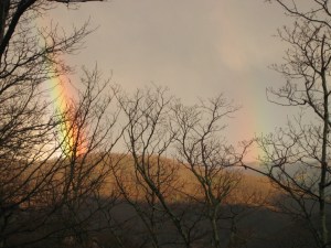 DOUBLE RAINBOW
