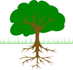 tree branchesandroots