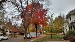 11666273_10207907904401507_35085309522144313_n