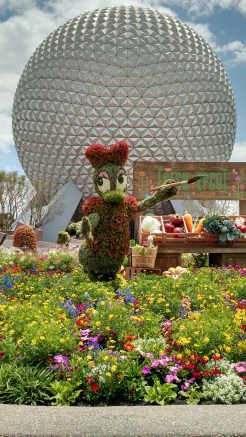 IMG_20160425_134945784_HDR