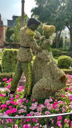 IMG_20160425_161732437_HDR