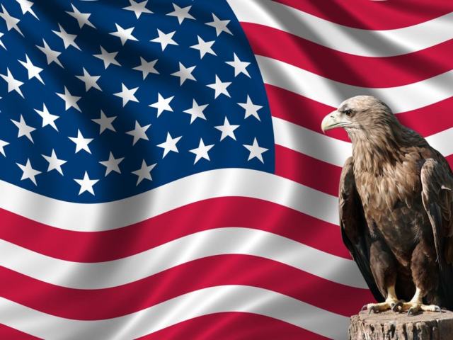 eagle_in_front_of_the_american_flag