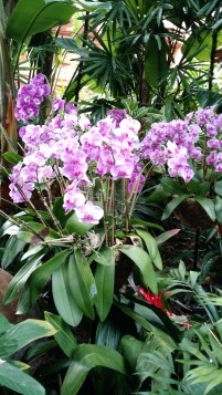 IMG_20160425_183114582