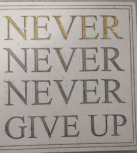 IMG_20160804_084157311