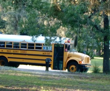 IMG_20160817_075744058