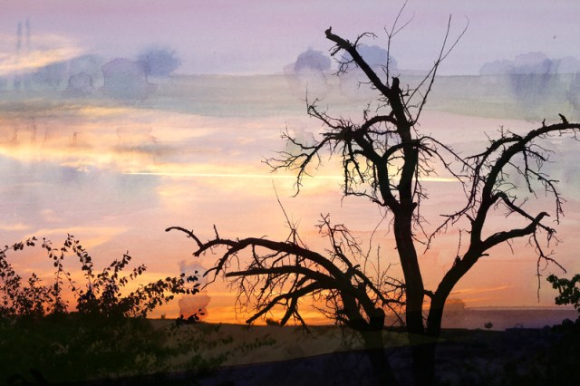 vicki hinze, legacy, canstockphoto.com/Tanor