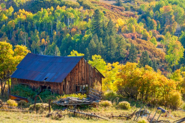 Colorado Autumn Barn