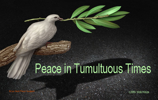 Peace in Tumultuous Times, Vicki Hinze