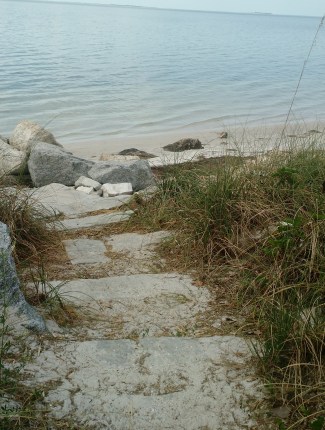 IMG_20170420_121236124