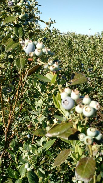 IMG_20180405_091407546