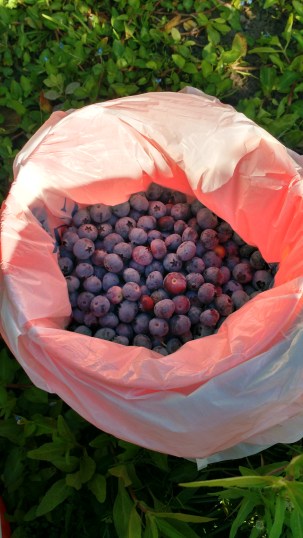 IMG_20180405_094014593_HDR