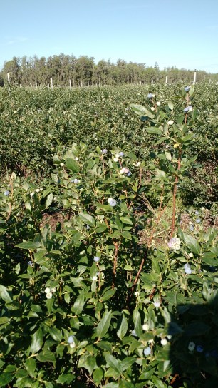 IMG_20180405_095708870