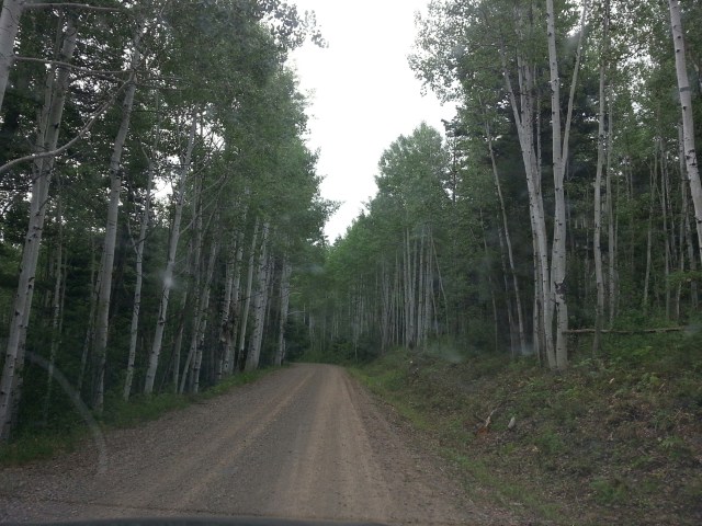 20180712_102651_resized