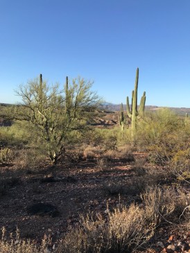 JMRuQpNpSJWM0WBhy+FwCg