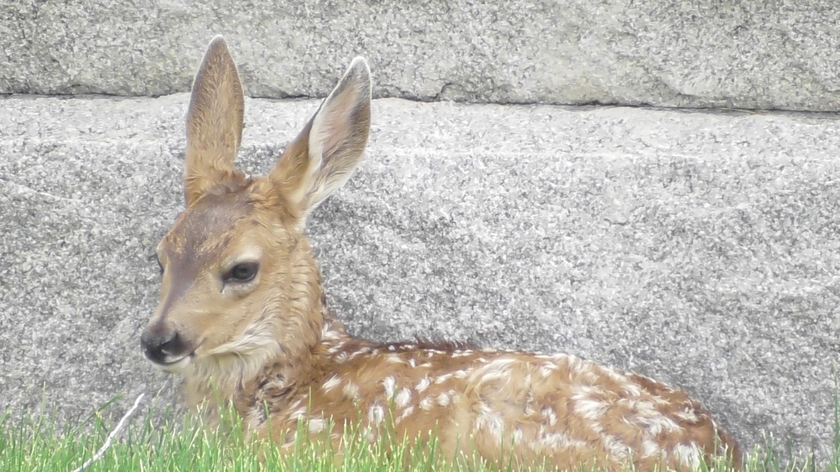 thumb_S1400014_1024 2