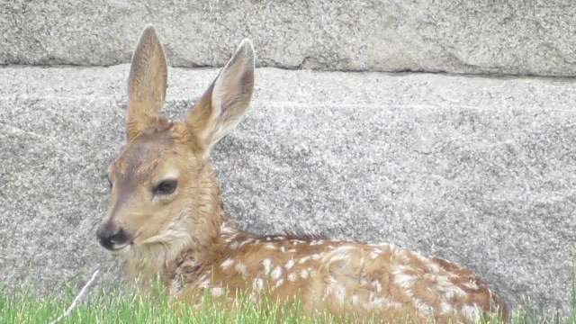 thumb_S1400014_1024 2