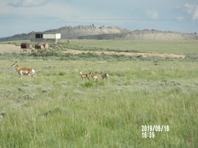 KODAK Digital Still Camera