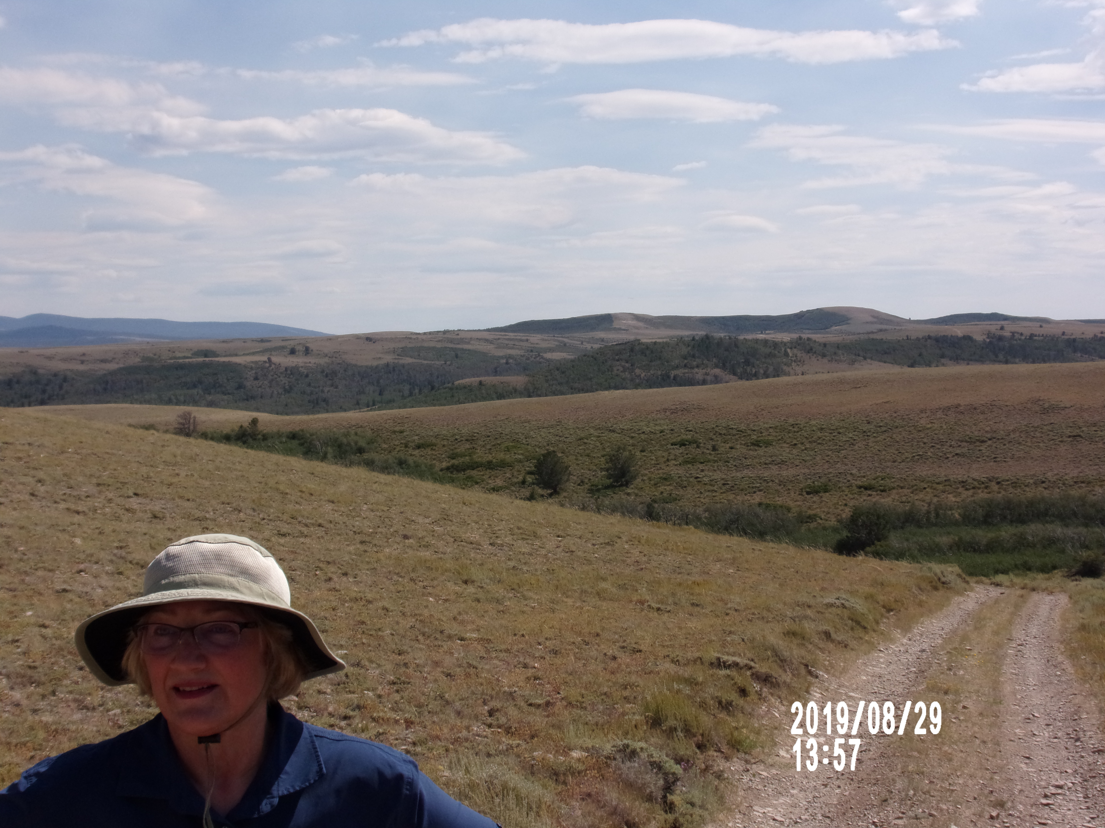 KODAK Digital Still Camera