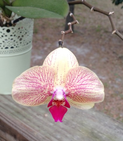 IMG_20170326_083123119