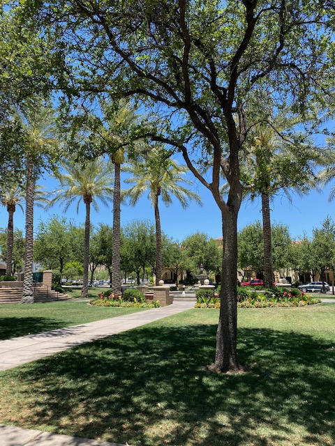 61169506901__8ED717F4-D23F-4566-8275-DF81F4649534