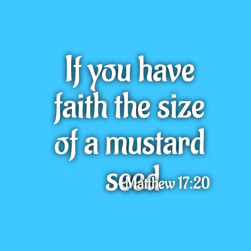 BookBrushImage-2020-6-12-15-4952