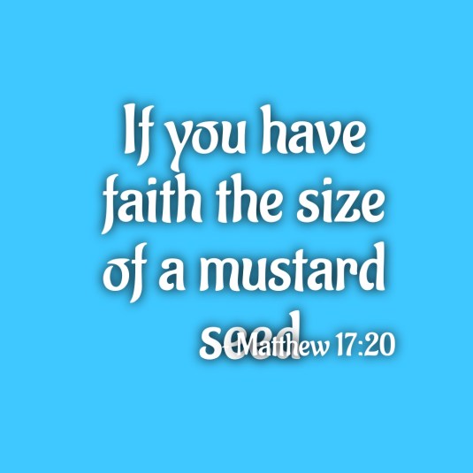 BookBrushImage-2020-6-12-15-4952