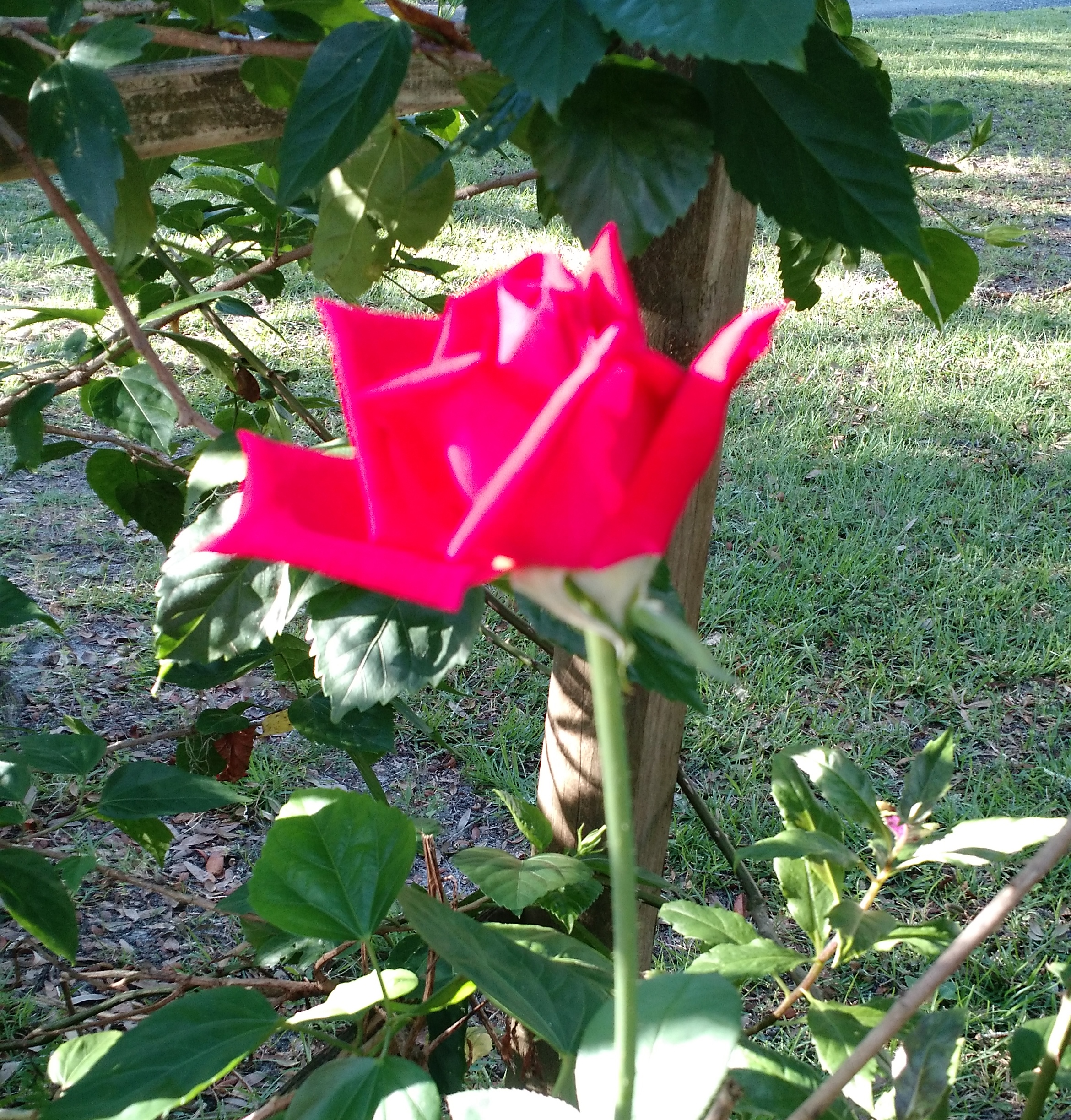 IMG_20161010_091455939