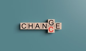 Change, vicki hinze, christians read